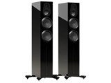 Gold 300 6G GOLD 300 6G HGBK [High-Gloss Black ペア]