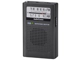 AudioComm RAD-P115N [ガンメタ]