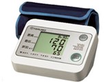 ES-P333