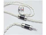 Day for Night LNA-DFN-CM2P-25 2.5mm(4極)⇔2ピン [1.2m]