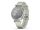 Lily 2 Classic 010-02839-53 [Sage Gray Nylon/Silver]