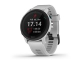 ForeAthlete 745 010-02445-43 [Whitestone]