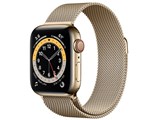 Apple Watch Series 6 GPS+Cellularモデル 40mm M06W3J/A [ゴールドミラネーゼループ]