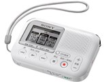 ICD-LX31